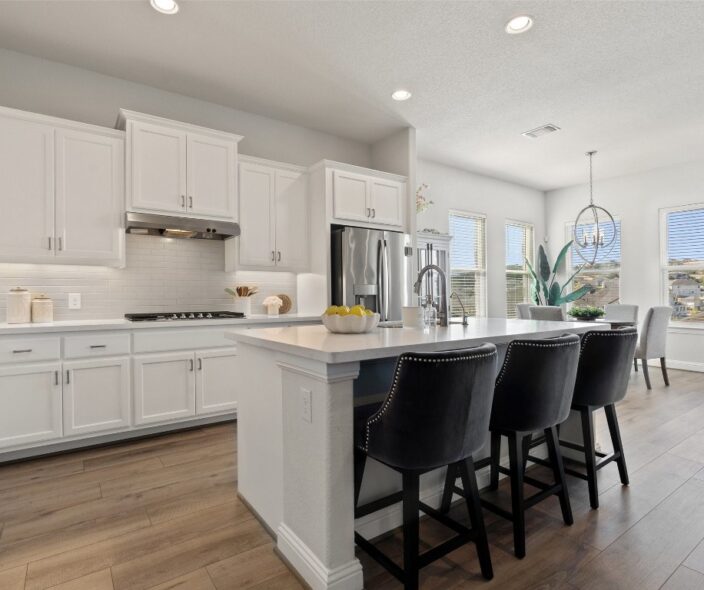 407 Sitlington Ln, Austin TX 78738