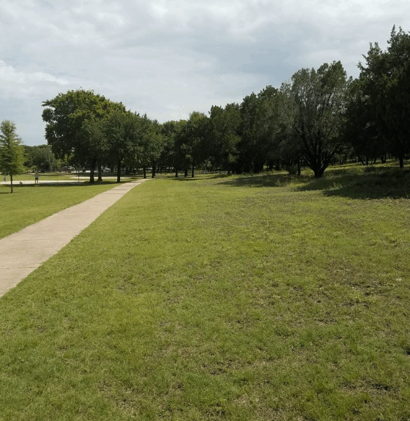 How Have Home Prices in Serene Hills Changed Over the Past Year?